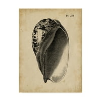 Zaštitni znak likovne umjetnosti 'Vintage Diderot Shell IV' platno Art by Vision Studio