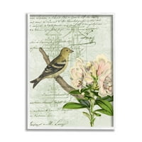 Stupell Industries Bird House Vintage patentni ljiljan cvjetni Američki Češljugar, 14, Dizajn Daphne Polselli