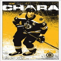 Boston Bruins - Zdeno Chára Poster