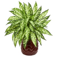 Skoro prirodno 22in. Umjetna biljka Aglaonema u Crvenoj dizajnerskoj vazi, zelena